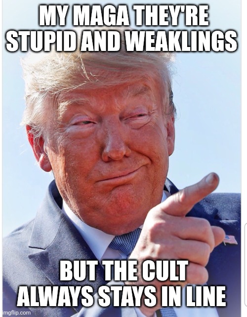 Trump pointing | MY MAGA THEY'RE STUPID AND WEAKLINGS BUT THE CULT ALWAYS STAYS IN LINE | image tagged in trump pointing | made w/ Imgflip meme maker