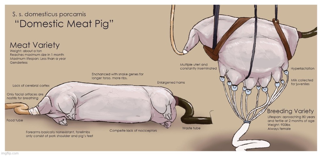 The QU Got the huge pig fam | image tagged in memes,shitpost,all tomorrows,the qu,aliens,that one rick and morty episode | made w/ Imgflip meme maker