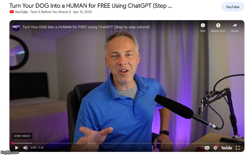 Turn your dog into a human NOW before its to late | image tagged in dog,chatgpt | made w/ Imgflip meme maker