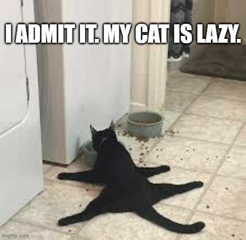 I admit it, my at is lazy.  - funny - | I ADMIT IT. MY CAT IS LAZY. | image tagged in cats,funny,kittens,humor,eating,lazy | made w/ Imgflip meme maker