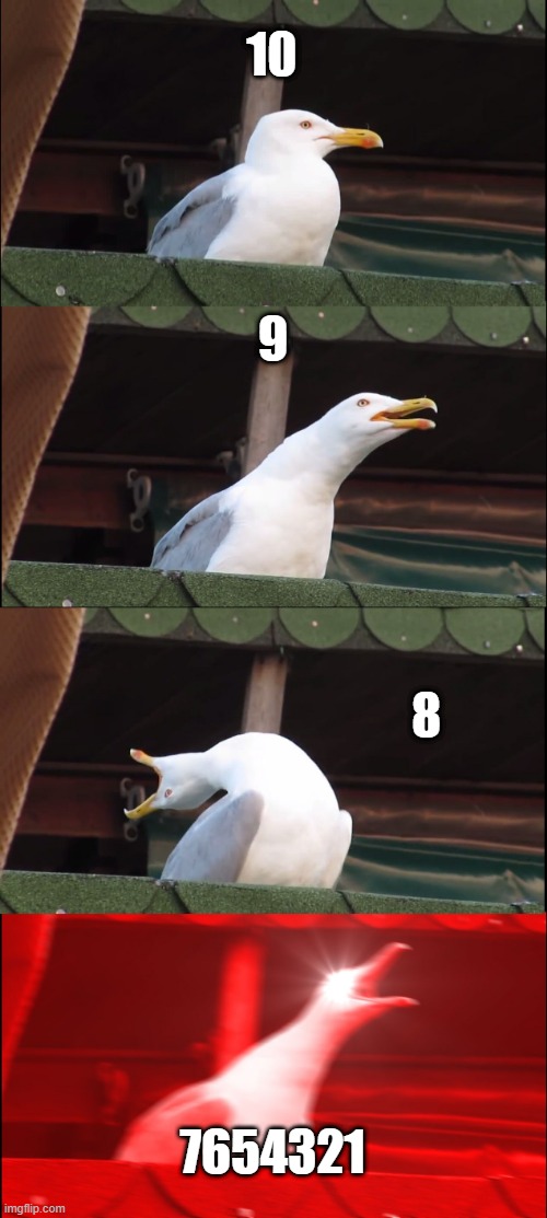 Counting | 10; 9; 8; 7654321 | image tagged in memes,inhaling seagull | made w/ Imgflip meme maker
