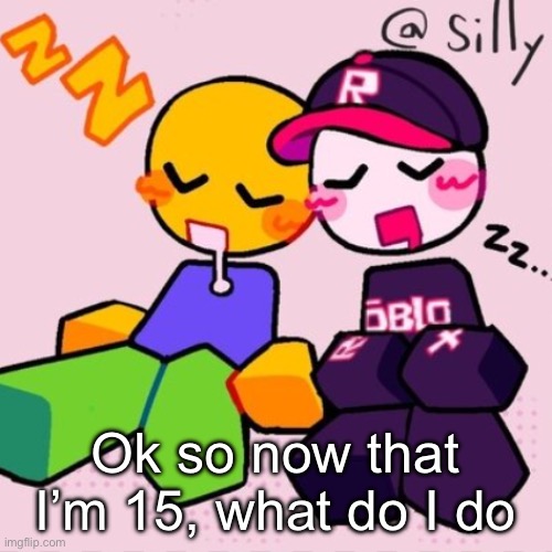 like, for my birthday because I was planning on FINALLY getting epic Mickey rebrushed | Ok so now that I’m 15, what do I do | image tagged in gayass noob temp | made w/ Imgflip meme maker