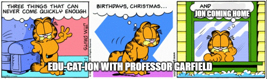 Edu-cat-ion with Professor Garfield | JON COMING HOME; EDU-CAT-ION WITH PROFESSOR GARFIELD | image tagged in three things that can never come quickly enough garfield,garfield | made w/ Imgflip meme maker