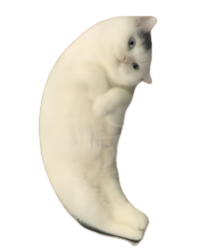 Mooncat Blank Meme Template