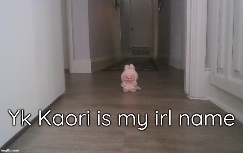 Yk Kaori is my irl name | made w/ Imgflip meme maker