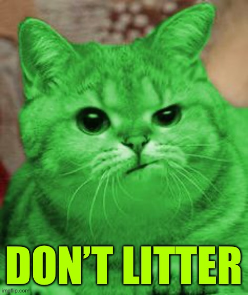 RayCat Annoyed | DON’T LITTER | image tagged in raycat annoyed | made w/ Imgflip meme maker