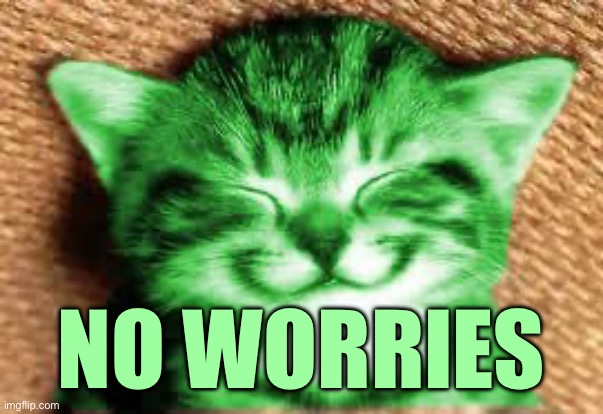 happy RayCat | NO WORRIES | image tagged in happy raycat | made w/ Imgflip meme maker