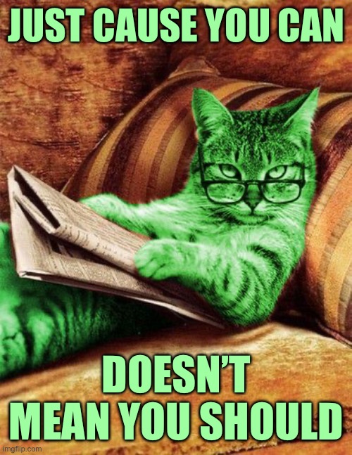 Factual RayCat | JUST CAUSE YOU CAN; DOESN’T MEAN YOU SHOULD | image tagged in factual raycat | made w/ Imgflip meme maker