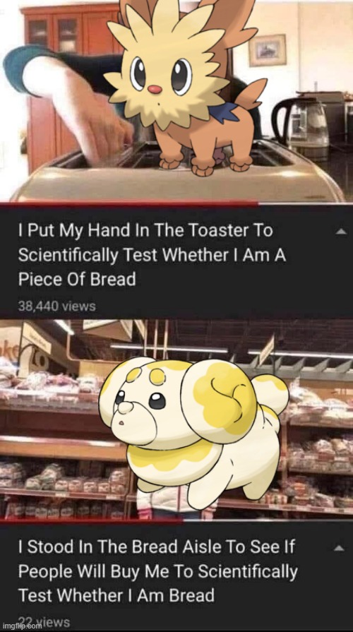 dog became bread | image tagged in bread,pokemon,dogs,doge,funny memes,youtuber | made w/ Imgflip meme maker