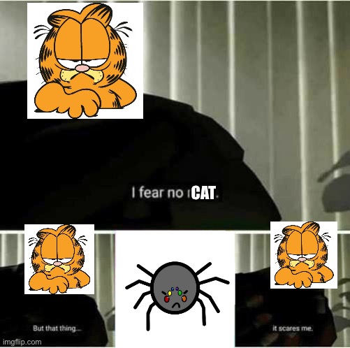 I fear no cat. But that thing. It scares me | CAT | image tagged in i fear no man,garfield | made w/ Imgflip meme maker