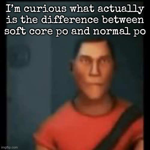 Disappointed Scout | I’m curious what actually is the difference between soft core po and normal po | image tagged in disappointed scout | made w/ Imgflip meme maker