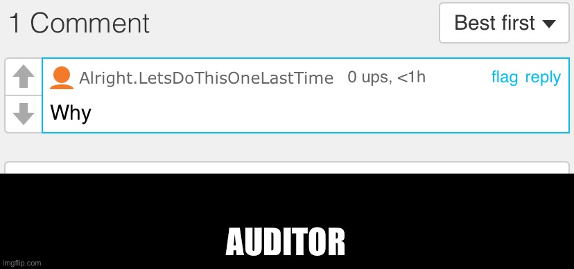 AUDITOR | made w/ Imgflip meme maker