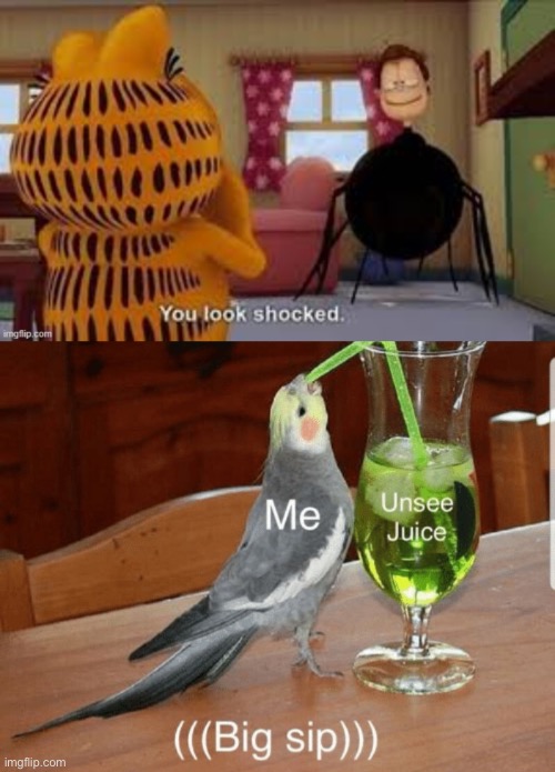 Comment if you cannot unsee this | image tagged in unsee juice,garfield | made w/ Imgflip meme maker