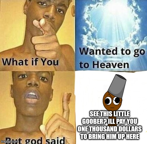 The most IMPOSSIBLE task | SEE THIS LITTLE GOOBER? ILL PAY YOU ONE THOUSAND DOLLARS TO BRING HIM UP HERE | image tagged in what if you wanted to go to heaven | made w/ Imgflip meme maker