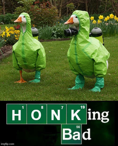 Hoking Bad | image tagged in goose,geese,drugs | made w/ Imgflip meme maker