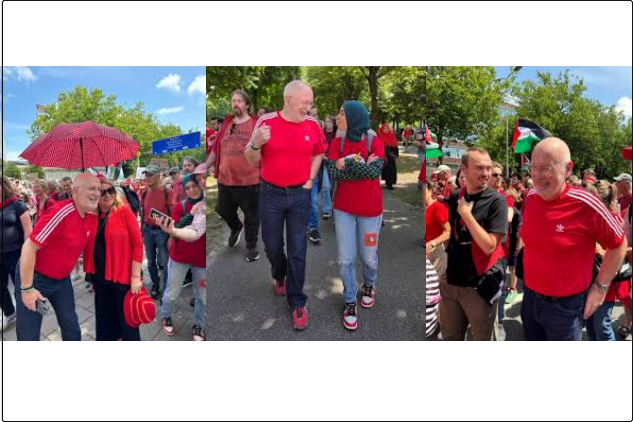 Timmermans & Red Line Blank Meme Template