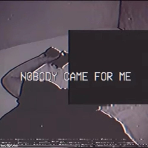Nobody came for me | image tagged in nobody came for me | made w/ Imgflip meme maker