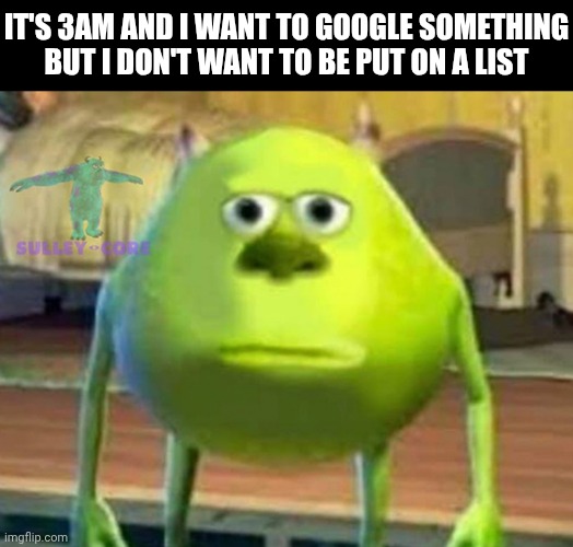 I need to sleep | IT'S 3AM AND I WANT TO GOOGLE SOMETHING
BUT I DON'T WANT TO BE PUT ON A LIST | image tagged in monsters inc,google,google search,mike wazowski | made w/ Imgflip meme maker