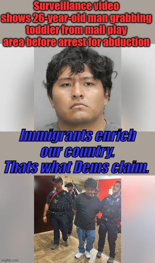 Surveillance video shows 26-year-old man grabbing toddler from mall play area before arrest for abduction; Immigrants enrich our country. Thats what Dems claim. | made w/ Imgflip meme maker