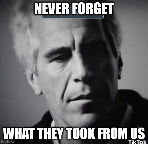 FREE EPSTEIN | NEVER FORGET; WHAT THEY TOOK FROM US | made w/ Imgflip meme maker