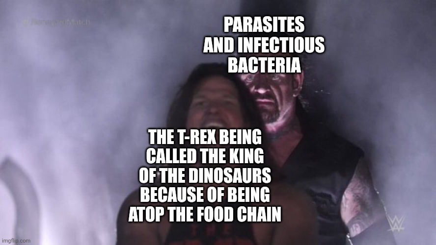 AJ Styles & Undertaker | THE T-REX BEING CALLED THE KING OF THE DINOSAURS BECAUSE OF BEING ATOP THE FOOD CHAIN PARASITES AND INFECTIOUS BACTERIA | image tagged in aj styles undertaker | made w/ Imgflip meme maker