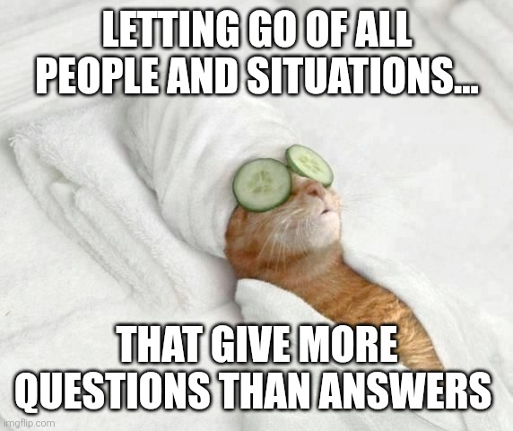 Cat relax in bed | LETTING GO OF ALL PEOPLE AND SITUATIONS... THAT GIVE MORE QUESTIONS THAN ANSWERS | image tagged in cat relax in bed | made w/ Imgflip meme maker