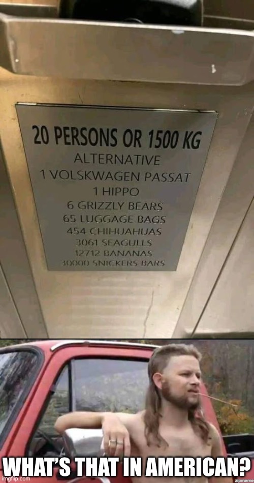 How many? | WHAT’S THAT IN AMERICAN? | image tagged in almost politically correct redneck,elevator,weight,limitless | made w/ Imgflip meme maker