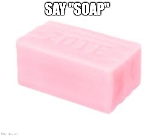 forbidden soap | SAY "SOAP" | image tagged in forbidden soap | made w/ Imgflip meme maker