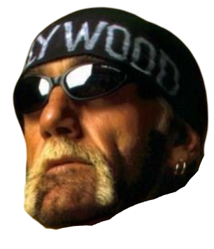 Hollywood Hulk Hogan face Blank Meme Template