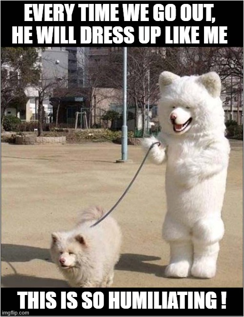 My Owner Is An Idiot ! | EVERY TIME WE GO OUT, HE WILL DRESS UP LIKE ME; THIS IS SO HUMILIATING ! | image tagged in dogs,costume,humiliation | made w/ Imgflip meme maker
