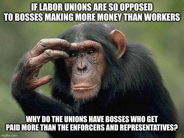 Thinking monkey | IF LABOR UNIONS ARE SO OPPOSED TO BOSSES MAKING MORE MONEY THAN WORKERS; WHY DO THE UNIONS HAVE BOSSES WHO GET PAID MORE THAN THE ENFORCERS AND REPRESENTATIVES? | image tagged in thinking monkey | made w/ Imgflip meme maker