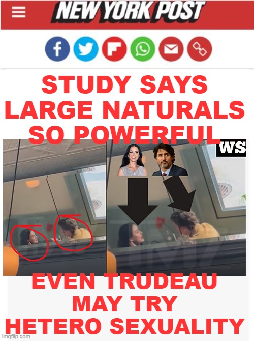 Fidel would be so proud | STUDY SAYS LARGE NATURALS SO POWERFUL; EVEN TRUDEAU MAY TRY HETERO SEXUALITY | image tagged in trudeau perry large breasts meme | made w/ Imgflip meme maker