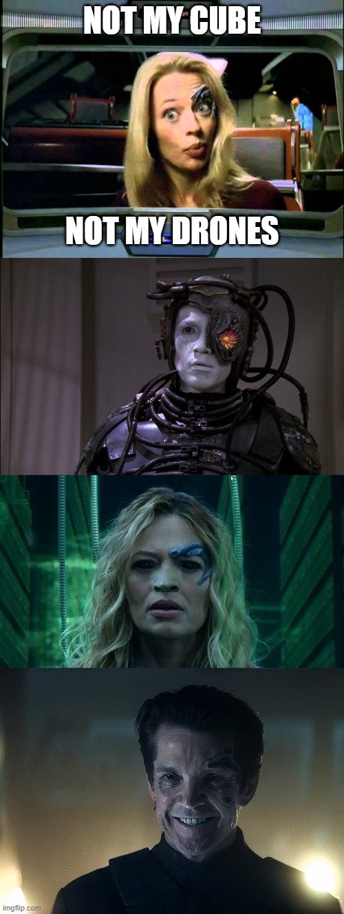 not my cube | NOT MY CUBE; NOT MY DRONES | image tagged in seven of nine,the borg,star trek | made w/ Imgflip meme maker