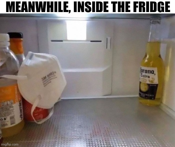 Meanwhile, Inside The Fridge | MEANWHILE, INSIDE THE FRIDGE | image tagged in chrisjoines1 | made w/ Imgflip meme maker