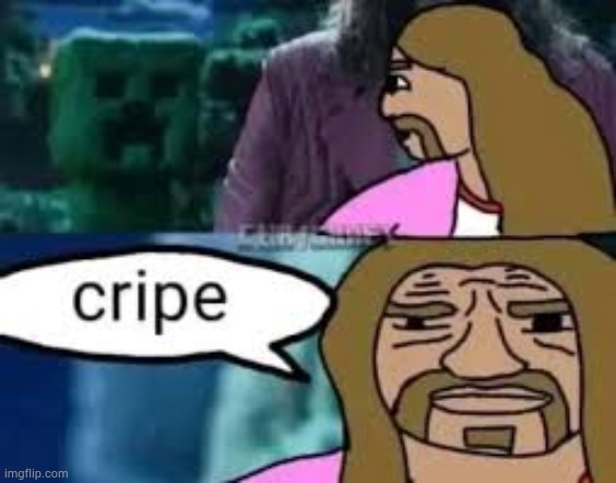 image tagged in the meme died what are you lookin at | made w/ Imgflip meme maker