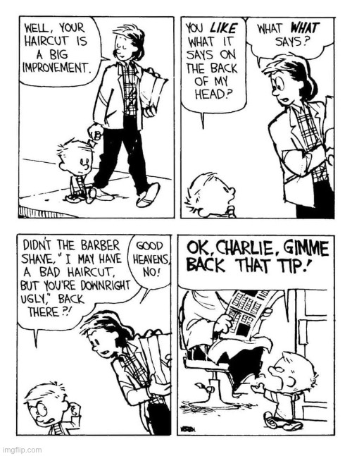 The nerve of that guy! | image tagged in calvin and hobbes,comics,haircut,barber shop | made w/ Imgflip meme maker