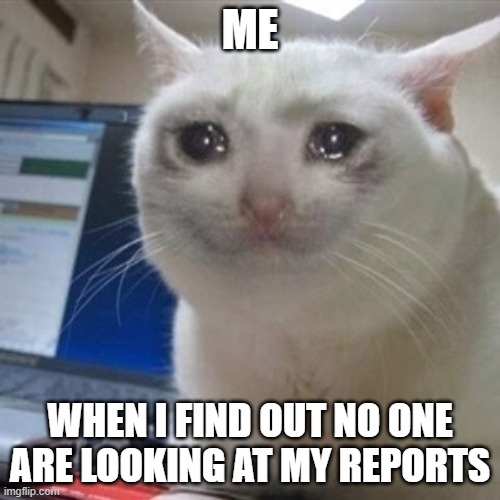 No one are looking at my reports | ME; WHEN I FIND OUT NO ONE ARE LOOKING AT MY REPORTS | image tagged in crying cat | made w/ Imgflip meme maker