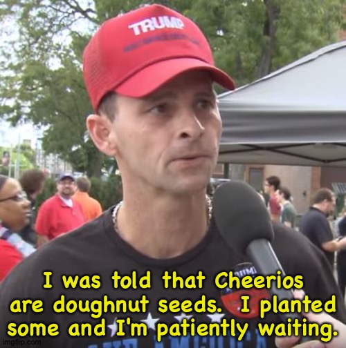 Trump supporter | I was told that Cheerios are doughnut seeds.  I planted some and I'm patiently waiting. | image tagged in trump supporter | made w/ Imgflip meme maker