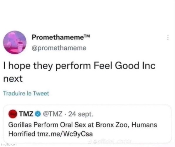 image tagged in memes,shitpost,gorillaz,feel good,oral sex | made w/ Imgflip meme maker
