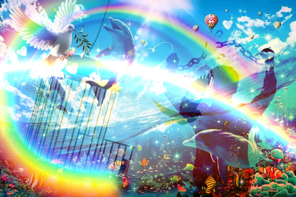 Free dolphin rainbow chain break Blank Meme Template