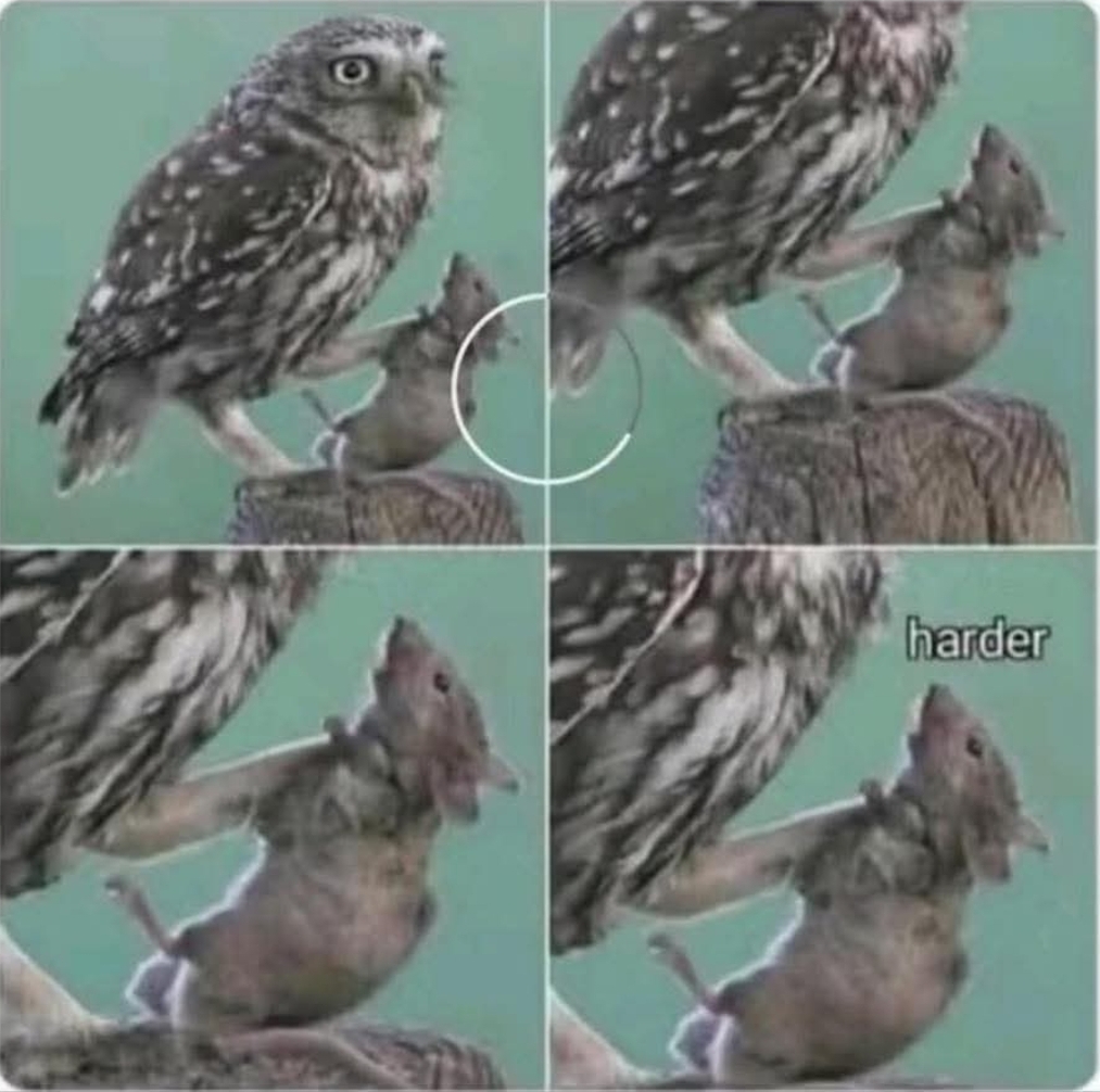High Quality Harder Blank Meme Template