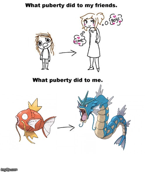 Magikarp meme | image tagged in what puberty did to me,pokemon,magikarp | made w/ Imgflip meme maker
