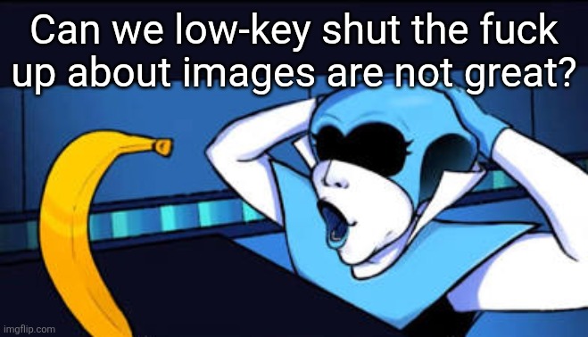 Nananab?!?!?! | Can we low-key shut the fuck up about images are not great? | image tagged in nananab | made w/ Imgflip meme maker