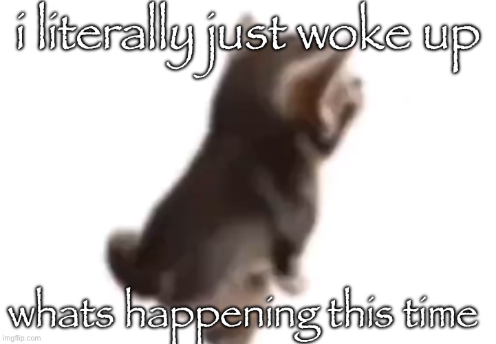 Side el gatito | i literally just woke up; whats happening this time | image tagged in side el gatito | made w/ Imgflip meme maker