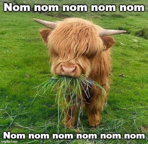 Nom nom nom nom nom; Nom nom nom nom nom nom | made w/ Imgflip meme maker