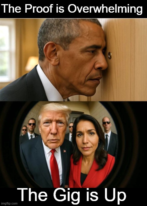 If you can't understand the mountain of evidence against Obama, you just might be a liberal... | The Proof is Overwhelming; The Gig is Up | image tagged in barack obama,proof,liar,evidence,crime and punishment,facts | made w/ Imgflip meme maker