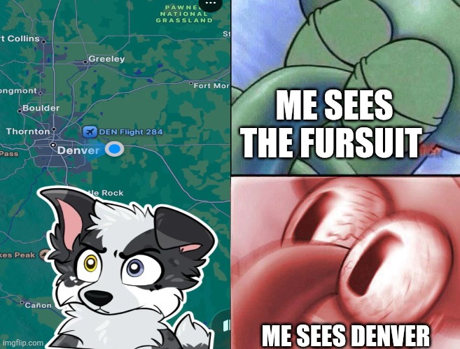 sleeping Squidward | ME SEES THE FURSUIT; ME SEES DENVER | image tagged in sleeping squidward | made w/ Imgflip meme maker