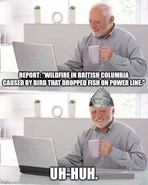 It shouldn't take over a day to approve memes. | made w/ Imgflip meme maker