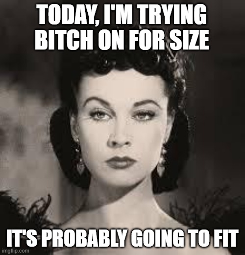 scarlet o'hara bitchy face red dress | TODAY, I'M TRYING BITCH ON FOR SIZE; IT'S PROBABLY GOING TO FIT | image tagged in scarlet o'hara bitchy face red dress | made w/ Imgflip meme maker