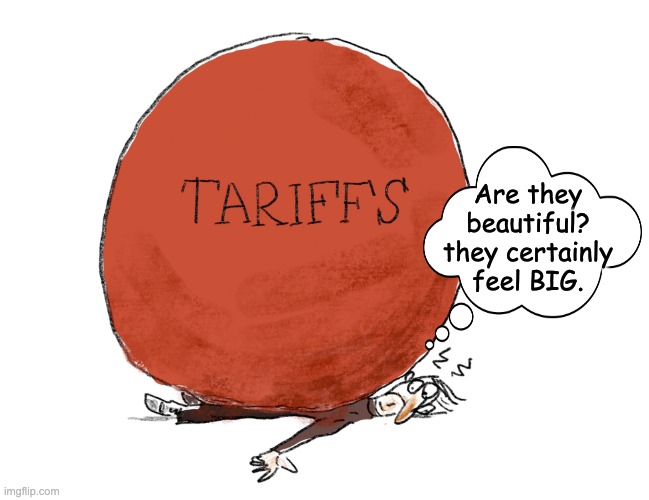 The ball drops | Are they beautiful? they certainly feel BIG. | image tagged in tariffs,trump,idiocracy,economy | made w/ Imgflip meme maker